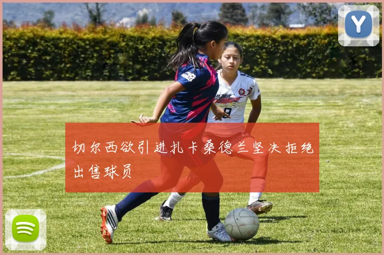 切尔西欲引进扎卡桑德兰坚决拒绝出售球员