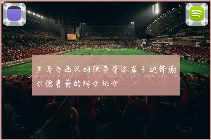 罗马与西汉姆联争夺本菲卡边锋谢尔德鲁普的转会机会