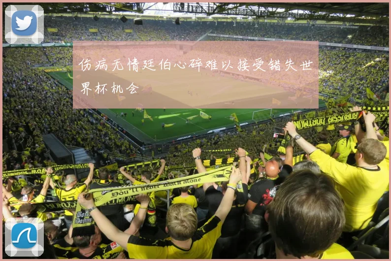 伤病无情廷伯心碎难以接受错失世界杯机会